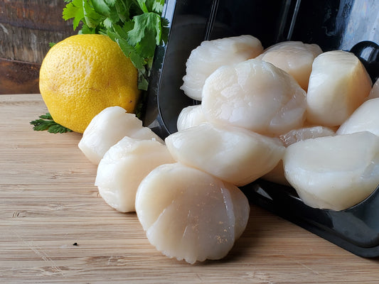 SEA SCALLOPS FRESH